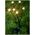 Saska Garden LAMPA SOLARNA TAŃCZĄCE NA WIETRZE KULECZKI BIAŁE 6 LED 72CM