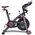 Rower stacjonarny Schwinn IC8 magnetyczny