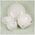 Banquet misa 2000 ml