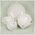 Banquet misa 1050 ml