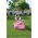 Bestway Basen dmuchany 61cm (51061)