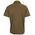 Green Cell Polo marškinėliai Nine Worths Lewis 1396 , Camel, dydis XL
