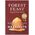 Forest Feast chocolate-coated caramelized hazelnuts in a gift cube, 100 g