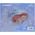 Disney Princess Ariel Beauty Palette (K,1 pc)