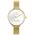 Zegarek G.Rossi ZEGAREK G. ROSSI - 11890B3-3D1 (zg884a)  + BOX