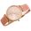 Zegarek Gino Rossi ZEGAREK DAMSKI  - 10317A6-5E2 (zg811g) + BOX uniwersalny