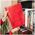 Victoria Collection Album B 10x15/300M Classic, red