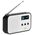 Radio cyfrowe PLL AM/FM