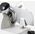 Krajalnica Berkel Berkel Red Line RL 250 white Slicer