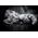 CLE puzzle 1000 Compact Kitty 39950