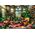 CLE puzzle 1000 Compact TheGreenhouseLibrary 39936