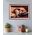 CLE puzzle 500 Compact Cuddles 35583