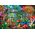 CLE puzzle 500 Compact The Greenh.Caretakers 35579
