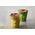 FROISSES Kubek seszelowy 80 ml