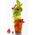 FROISSES Kubek seszelowy 80 ml