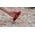 Daugiafukcis termometras IR 40-300degC| -40-300degC | IP54, Max/Min/Skirtumas/matavimo rakinimasl UNI-T