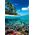 CLE puzzle 1000 Compact Summer Paradise 39931