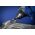 3-piece carbide burr set PFERD 1507 Z3P 12mm