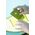 Four-person tent BESTWAY COOLMOUNT 4, 210 x 240 x 100 cm
