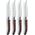 Amefa Royal Steak 2520 - 4 τμχ Σετ μαχαίρι για μπριζόλα καφέ σε ξύλινο κουτί 13802301 8711160000000