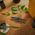 Plant care set (pruner + case)
