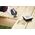 BOSCH MT ACCESSORIES SET 7pcs.