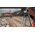 Bosch NIWELATOR OPTYCZNY GOL20D SET + BT160 + GR50