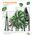 Plant care set (pruner, clipper, precision trimmer + case)