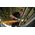 Szlifierka Flex Cordless angle grinder FLEX LBP-125-15 EC C