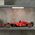 Technic Bolid F1 Ferrari SF-24 (42207)