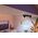 Philips Hue White&Col. Amb. Centris Spot 4flg schwarz V2