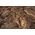 Φόντο Terra Natura Terrarium, σανίδα από φελλό VIRGIN 60x30cm (χώρα προέλευσης: Πορτογαλία) 9389551 5904479440266