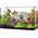 Happet HapPet LED Plant 150