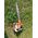 Husqvarna Leaf blower HUSQVARNA 525BX
