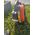 Husqvarna Leaf blower HUSQVARNA 525BX