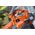 Husqvarna Leaf blower HUSQVARNA 525BX