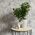 Sintra Tapeta Sintra 402252 Livio
