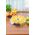 Standart Tray set STANDARD FD600A (2 units)