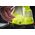Helly Hansen Pants HELLY HANSEN ICU BRZ Cons CL1, yellow C62