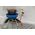 Campingaz Campingaz Party Grill 400 Caravan Connect gas cooker, gas grill (black/blue, 30mbar, with caravan connection, model 2023)