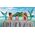 Zapf ZAPF Creation BABY born Sister Styling Head M. - 830550