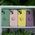 Finger Grip case for Xiaomi Redmi Note 14 Pro 5G (Global) light green 5906961966841