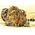 Norimpex Diamentowa mozaika - Leopard