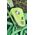 Przyrząd ohm ii-oasis EDELRID