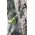 Przyrząd ohm ii-oasis EDELRID