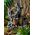 Exo Terra Exo Terra Tiki Terrarium διακόσμηση, L, 31 x 19 x 36 cm 8038682 15561231572