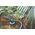 Metabo Pompa CWU TPS 16000 S Combi (251600000)