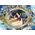 Trefl PUZZLE 1000 PremPlus Królewna Śnieżka 10833