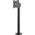 Neomounts Uchwyt biurkowy na monitor 10" - 32" (NS-DPOS100BLACK)