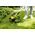 Karcher Ασύρματο χλοοκοπτικό Karcher LTR 3-18 Dual Battery